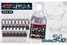 りょう泉はやぶさ　995〈500ml×24本〉_ 水 500ml ミネラルウォーター ウォーター ミネラル アルカリ天然 軟水 温泉水 イオン 飲料 ドリンク キャンプ アウトドア ケース 山梨市 常温 玄関 配達 備蓄 防災 経済的 水割り お茶 コーヒー スポーツ 【1031769】