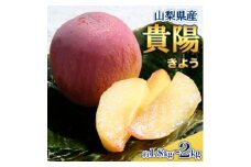 ＜300箱限定＞すもも『特選貴陽(きよう)』約1.8～2kg 甘くてジューシ―【1108718】