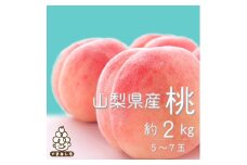 2026年 先行受付＜寄付金額変更14,000円→13,000円＞山梨旬の桃 約2kg(5～7玉) 【1017345】