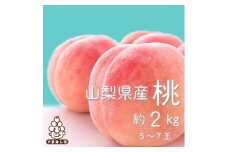 2026年 先行受付＜期間限定 感謝企画＞山梨旬の桃 約2kg(5～7玉)【1017345】