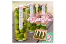 山梨県産もものピクルス「小桃も桃も桃のうち」3本セット 前菜やワインのお供に!食卓が華やぐ♪【1038299】