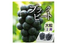 ぶどう 希少山梨産ブラックビート2房 ＜レアぶどう!大粒ジューシー上品な甘み＞【1041054】