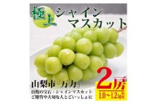 生産者直送　山梨市『万力』極上シャインマスカット2房　計1kg～1.2kg程度【1137178】