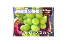 朝もぎ直送! 過保護な葡萄『シャインマスカット』2.5kg以上【1294081】