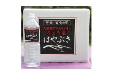 りょう泉はやぶさ(ミネラルウォーター)1.5L×10本_ 水 1.5L ミネラルウォーター ウォーター ミネラル アルカリ天然 軟水 温泉水 イオン 飲料 ドリンク キャンプ アウトドア ケース 山梨市 常温 玄関 配達 備蓄 防災 経済的 水割り スポーツ 【1031767】