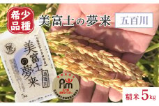 五つ星お米マイスター厳選米『美富士の夢来五百川』5kg【1099813】