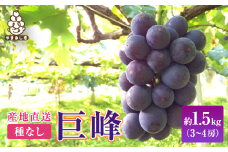  銀河農園まきおか 巨峰 約1.5kg (3～4房)【1111660】
