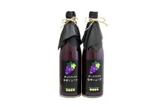 ぶどうジュース 720ml 2本 銀河農園まきおかの絞っただけの 巨峰ジュース_ ふるさと納税 ふるさと ブドウジュース ジュース フルーツジュース 巨峰 ぶどう ブドウ 葡萄 フルーツ 果物 くだもの 山梨県 山梨市 山梨 人気 送料無料【1111664】