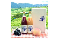 ぶどうジュース 桃ジュース 各720ml 計2本 山梨県産＜牧丘の巨峰＞&＜山梨の桃＞ジュースセット_ ふるさと納税 ふるさと 桃 もも モモ ぶどう ブドウ 葡萄 巨峰 ジュース フルーツジュース ももジュース ブドウジュース 山梨県 山梨市 山梨 【1124235】