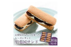 山梨産ぶどうのレーズンサンド『甲斐国サンド』10個×10箱 オリジナルバタークリームと大粒ブドウ【1134280】