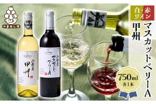 ワイン 山梨産 甲州 マスカットベーリーA 赤白 ワイン 2本 セット_ ふるさと納税 ふるさと 赤ワイン 白ワイン 甲州ワイン お酒 酒 アルコール 飲み比べ 山梨県 山梨市 山梨 ギフト プレゼント 贈り物 人気 送料無料【1229064】