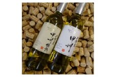 ワイン サントネージュワインが贈る 甲州ワイン 辛口 飲み比べ 2本 セット_ ふるさと納税 ふるさと ワイン 白ワイン 辛口 お酒 酒 アルコール 山梨県 山梨市 山梨 ギフト プレゼント 贈り物 人気 送料無料【1229096】