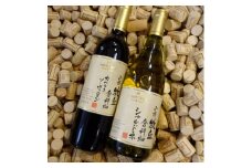 ＜限定100セット＞ワイン 山梨牧丘倉科畑シャルドネ カベルネ・ソーヴィニヨン 赤白ワイン2本セット_ ふるさと納税 ふるさと 赤ワイン 白ワイン お酒 酒 アルコール 山梨県 山梨市 山梨 ギフト プレゼント 贈り物 人気 送料無料【1229118】