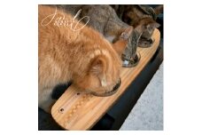 ＜&CRAFTS＞Pet bowls stand-3BOWLS-(Blue)※名入れプレート【1257977】