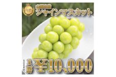 山梨市産農福連携シャインマスカット1房(1房500g以上)【1271037】