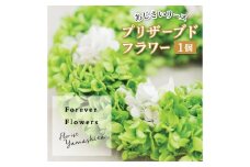 プリザーブドフラワー 紫陽花 グリーン リース【1271162】