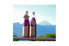 ぶどうジュース 山賊ぶどう 巨峰 100% ストレートジュース 720ml 2本 セット_ ふるさと納税 ふるさと ジュース フルーツジュース 果汁100% ストレートジュース ブドウ ぶどう 葡萄 人気 美味しい 山梨県 山梨市 山梨 送料無料【1277598】