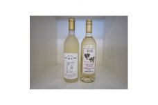 山梨市産ワイン 甲州 甘辛白ワイン  2本セット【1278306】