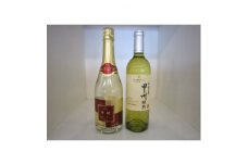 山梨県産　白ワイン2本セット(甲州スパークリング、甲州樽)【1279355】