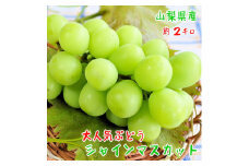 農園直送! シャインマスカット 約2kg(3～5房入り) ふるさと納税【1281142】