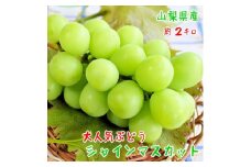 農園直送! シャインマスカット 約2kg(3～5房入り) ふるさと納税【1281142】