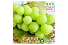農園直送!厳選「大房」シャインマスカット 特秀品 約700g　化粧箱入り【1281219】