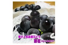 　農家直送!ぶどう名産地≪山梨の厳選!藤稔≫約1.8kg(2～4房) ふるさと納税【1281596】