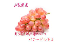 農家直送!ぶどう名産地≪山梨の厳選!サニードルチェ≫　約1.2kg(2～4房)【1281614】