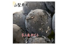＜希少品種＞農家直送!ぶどう名産地≪山梨のブラックビート≫約1.2kg(2～3房)【1282997】