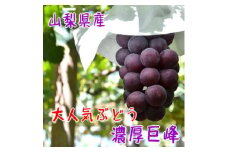 農家直送!ぶどう名産地≪山梨の厳選!濃厚巨峰≫　約1.8kg(2～4房) ふるさと納税【1283003】