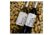 ワイン サントネージュワインが贈る シャルドネ カベルネソーヴィニヨン 2本 セット_ ふるさと納税 ふるさと ワイン 赤ワイン 白ワイン お酒 酒 アルコール カベルネ ソーヴィニヨン 山梨県 山梨市 山梨 ギフト プレゼント 贈り物 人気 送料無料【1284639】