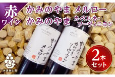 ワイン サントネージュワインが贈る メルロー カベルネソーヴィニヨン 2本 セット_ ふるさと納税 ふるさと ワイン 赤ワイン ソーヴィニヨン お酒 酒 アルコール 山梨県 山梨市 山梨 ギフト プレゼント 贈り物 人気 送料無料【1284857】
