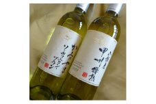 ワイン サントネージュワインが贈る ソーヴィニヨンブラン 甲州樽熟 白ワイン 2本 セット_ ふるさと納税 ふるさと ワイン お酒 酒 アルコール 山梨県 山梨市 山梨 ギフト プレゼント 贈り物 人気 送料無料【1285337】