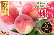 ＜ふるさと納税＞ 山梨県山梨市産 桃 約2kg(5～8玉)【1284006】