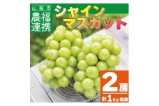 農福連携 シャインマスカット2房(2房合計1kg程度)山梨市＜ふるさと納税＞【1271031】