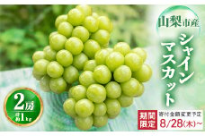 ＜寄付金額変更 11,000円→10,000円＞農福連携 シャインマスカット2房(合計1kg程度)【1271031】
