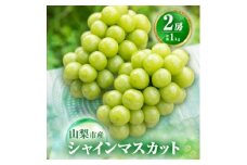 ＜2026年発送 先行受付＞農福連携 シャインマスカット2房(合計1kg程度)【1271031】