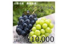 山梨市産農福連携 シャインマスカット&黒系ぶどう 各1房(2房合計1kg程度)【1271080】