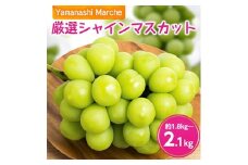 厳選シャインマスカット約1.8kg～2.1kg ふるさと納税【1273658】