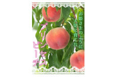 山梨県山梨市三十屋＜プリンセスピーチ＞農家直送こだわり桃【1273131】