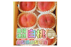山梨市産白桃 みんなにやさしい農福連携栽培(1箱2kg程度) ふるさと納税【1279743】