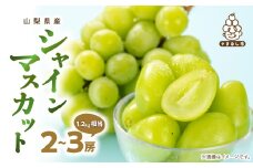 厳選 池田青果のシャインマスカット2房～3房(1.2kg相当) ふるさと納税【1280515】