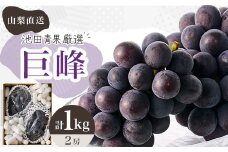 厳選　池田青果の巨峰　2房 　1キロ　ふるさと納税【1280519】