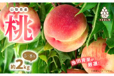 ＜2026年 先行受付＞ 桃 約2kg (5玉~8玉) 厳選 ! 池田青果の もも【1280520】