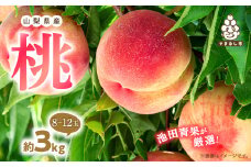 ＜2026年 先行受付＞ 桃 約3kg (8玉～12玉) 厳選 ! 池田青果の もも【1280521】