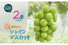 シャインマスカット 2房 入り 1kg 以上【1292440】