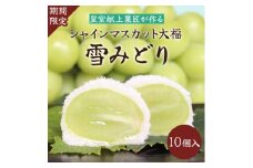 山梨県産シャインマスカットのフルーツ大福「雪みどり」10個入 皇室献上菓匠が作る期間限定和菓子【1041050】