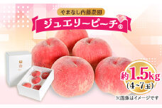 桃 1.5kg 4～7玉 やまなし内藤農園 ジュエリーピーチ (R) 白桃_ ふるさと納税 ふるさと 桃 もも モモ ピーチ フルーツ 果物 くだもの 人気 美味しい 山梨県 山梨市 山梨 送料無料【1045097】