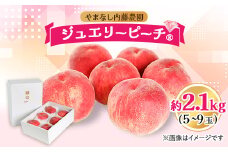 桃 約2.1kg 5～9玉やまなし内藤農園 ジュエリーピーチ (R) 白桃_ ふるさと納税 ふるさと 桃 もも モモ ピーチ フルーツ 果物 くだもの 人気 美味しい 山梨県 山梨市 山梨 送料無料【1045098】
