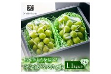 やまなし内藤農園のシャインマスカット2房 ふるさと納税【1049128】